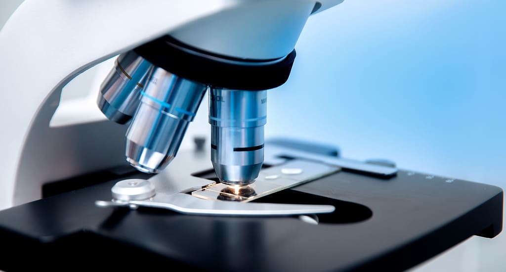 Экспертное мнение | Про- и пребиотики | Владислав Орлов