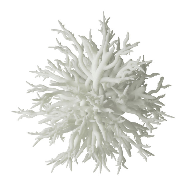 Ганодерма лакированная (Ganoderma lucidum)