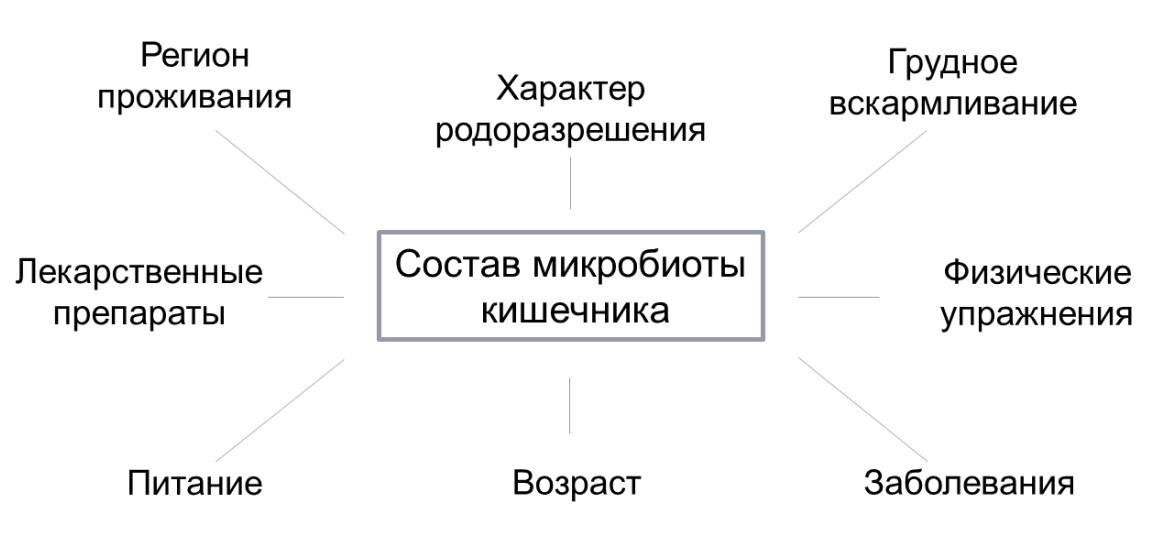 alt_faktory-kotorye-vliyayut-na-sostav-i-funkcii-mikrobioty-kishechnika-cheloveka
